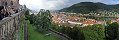 Heidelberg from Castle (Germany)