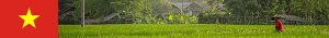 http://vietnam25.nstx.ch