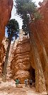 Navajo Loop Trail in Bryce Canyon (Utah, USA)