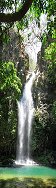La Cangreja Waterfall in Tropical Forest (Ricon De La Vieja National Park, Costa Rica)