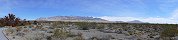 Desert National Wildlife Refuge near Las Vegas (Nevada, USA)