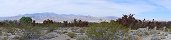 Desert National Wildlife Refuge near Las Vegas (Nevada, USA)
