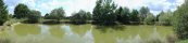 Private pond near Montargis (Loiret, France)