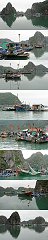 Village flottant dans la baie de Ha Long prs de Cat Ba (Vietnam)