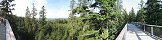 La passerelle de la cime des arbres  Lipno (Rpublique tchque)