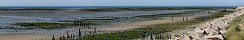 Oyster Beds at Low Tide (Grandcamp-Maisy, Calvados, France)