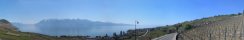 Lavaux and lake of Geneva from Riex (Lausanne area, Switzerland)