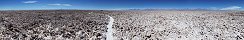 Salar de Atacama near Laguna Chaxa (Chile)