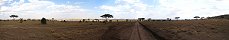 Typical Serengeti Road (Tanzania)